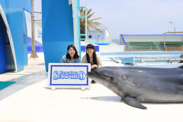 園内のプログラムの一覧