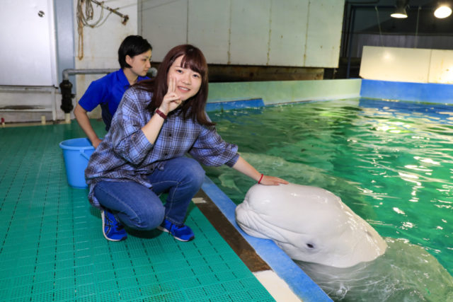 園内のプログラムの一覧