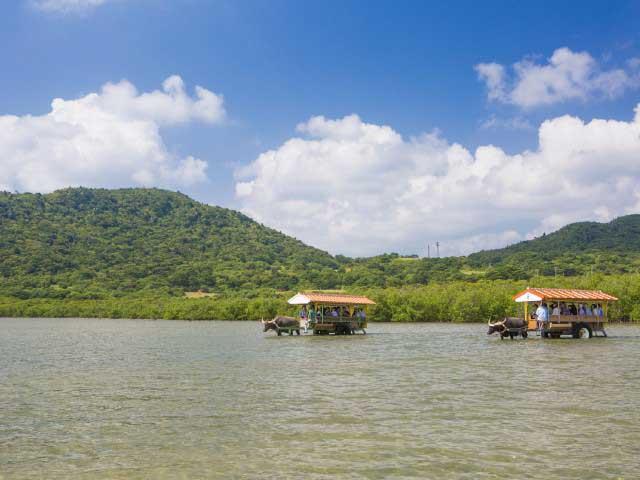 亜熱帯植物楽園 由布島