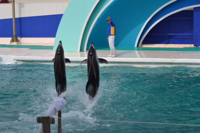 サーフスタジアム(Bゾーン)