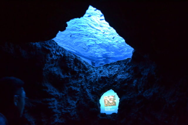 トロピカルアイランド