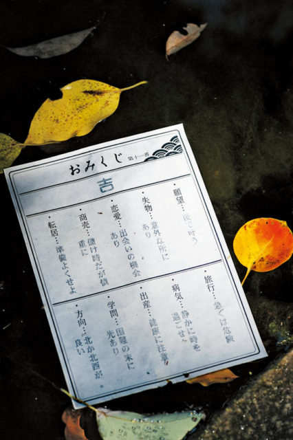 秩父神社の見どころ②「水みくじ」