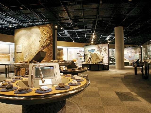 福井県立恐竜博物館