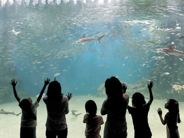 越前松島水族館