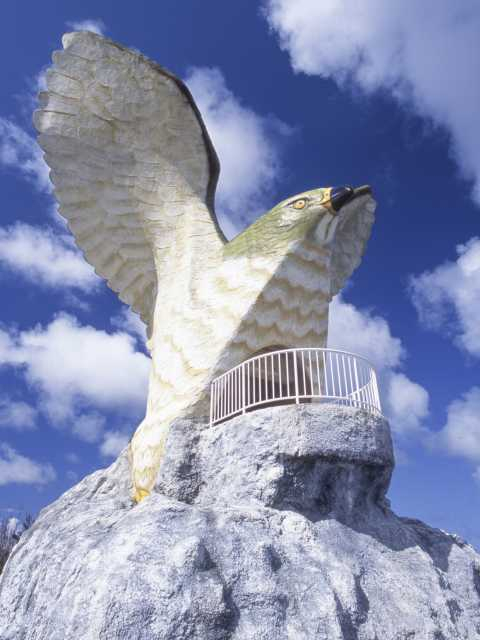 フナウサギバナタ