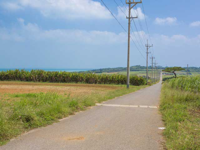 シュガーロード