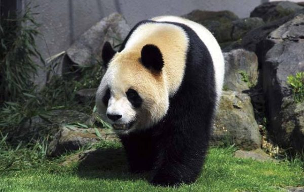 和歌山観光はこれでok 和歌山観光のポイントとおすすめスポットをご紹介 観光旅行メディア まっぷるトラベルガイド