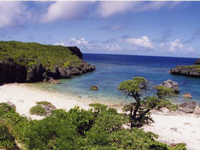 中の島ビーチ