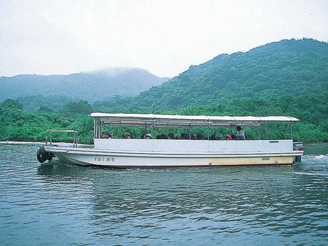 仲間川マングローブクルーズ