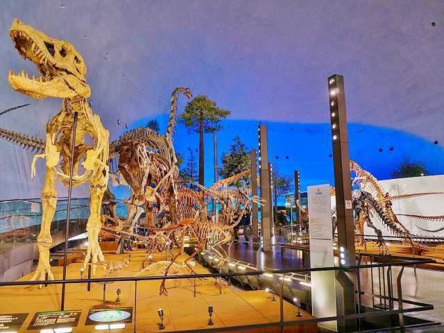 福井県立恐竜博物館
