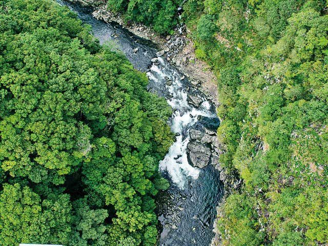 綾の照葉大吊橋