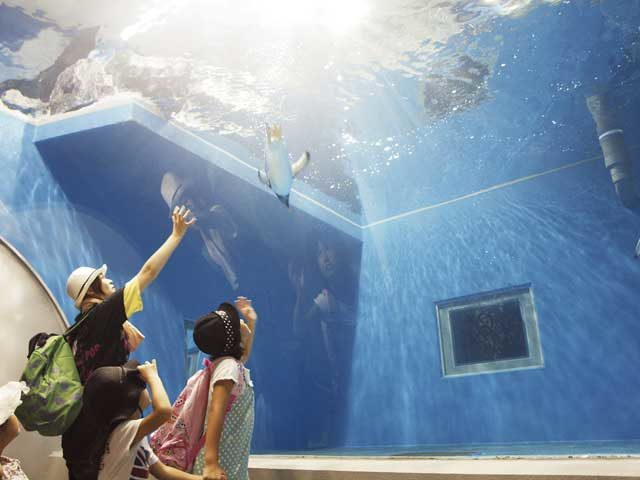 越前松島水族館