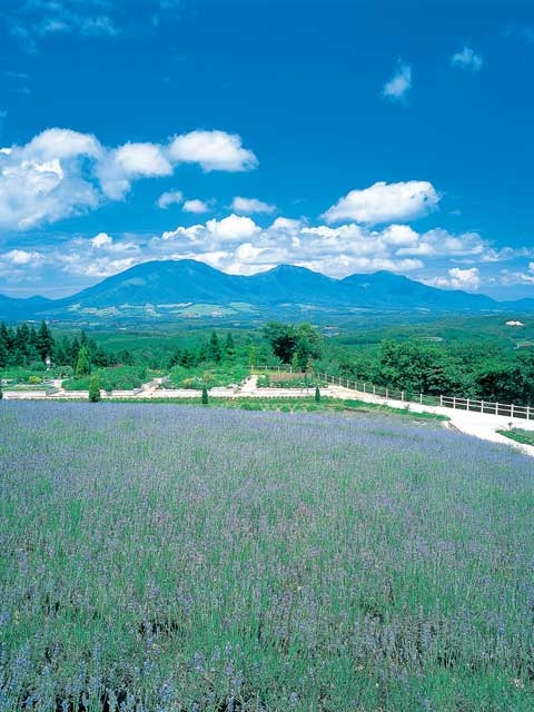 蒜山ハーブガーデンハービル