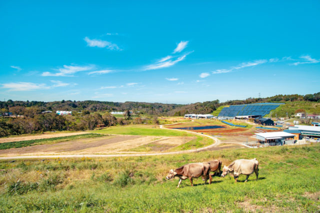 クルックフィールズ