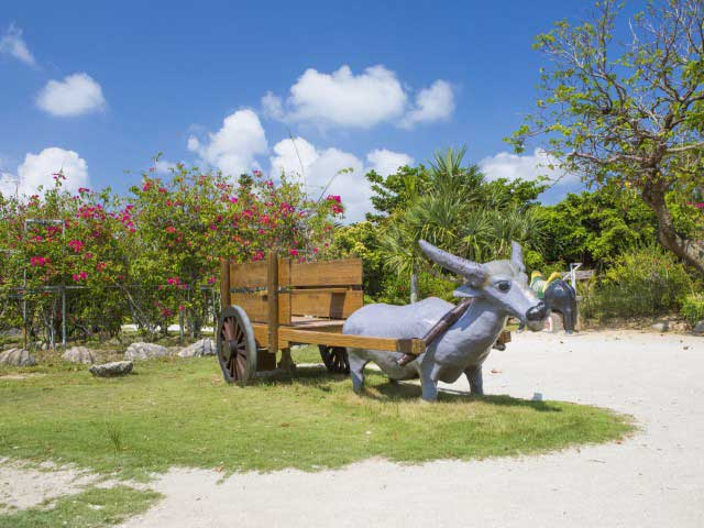 亜熱帯植物楽園 由布島