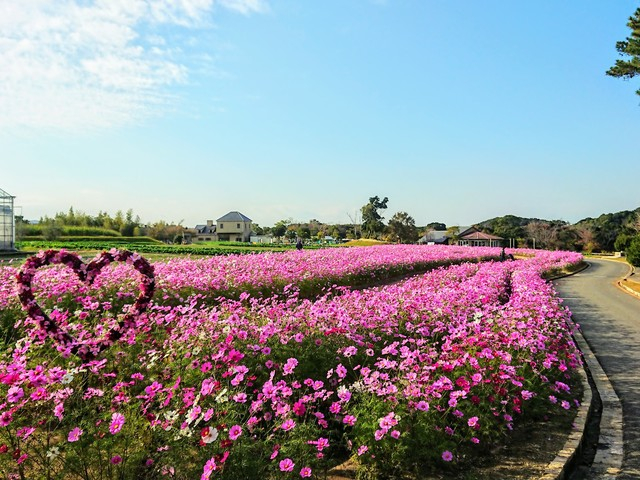 淡路ファームパーク イングランドの丘