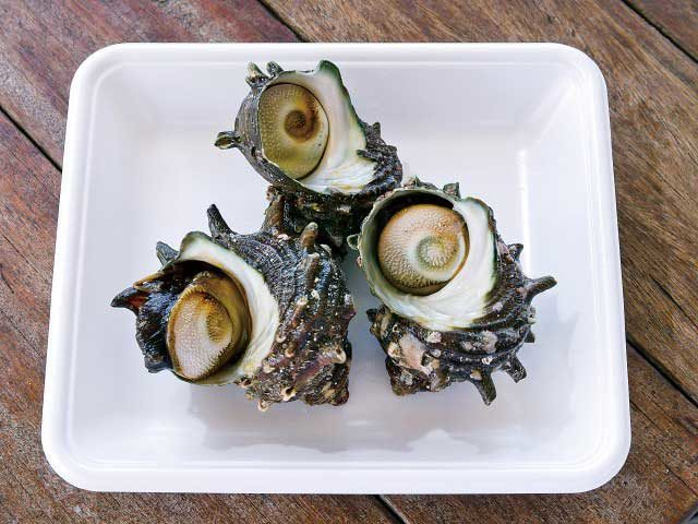 呼子台場みなとプラザ 大漁鮮華