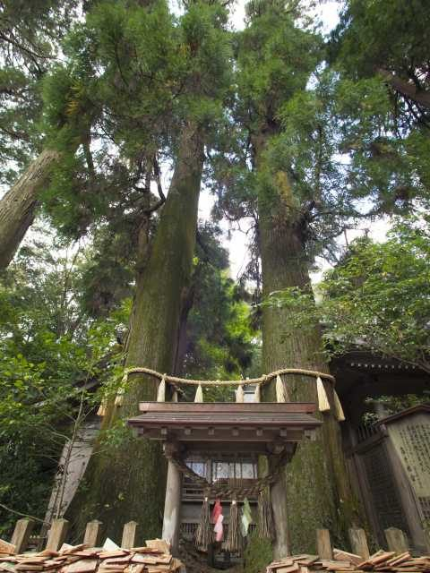 高千穂神社