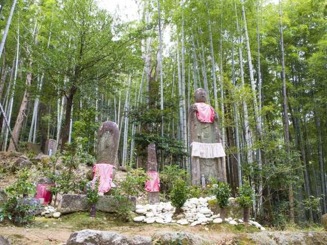 熊野古道伊勢路