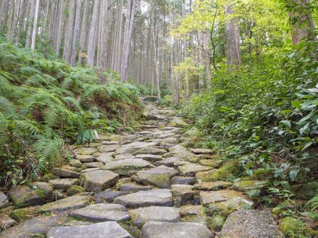 三重観光はこれでok 三重観光のポイントとおすすめスポットをご紹介 観光旅行メディア まっぷるトラベルガイド 三重観光はこれでok 三重観光のポイントとおすすめスポットをご紹介 観光旅行メディア まっぷるトラベルガイド