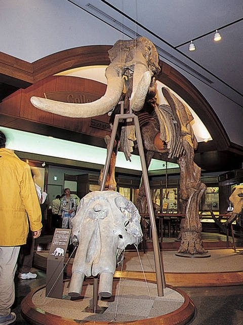 滋賀県立琵琶湖博物館