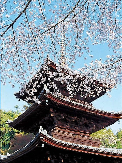 三井寺(園城寺)