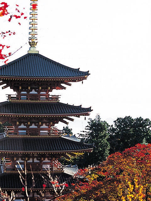 願い事が必ずかなう!「成相寺」