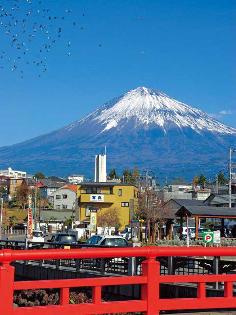 【山中湖からひと足のばして観光】富士山本宮浅間大社