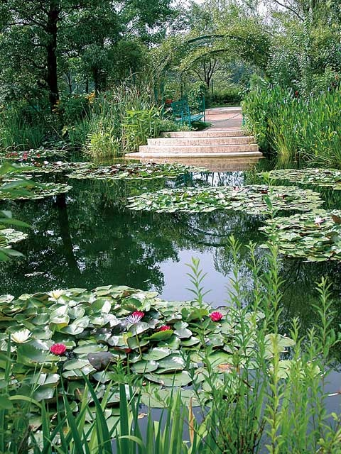 北川村「モネの庭」マルモッタン