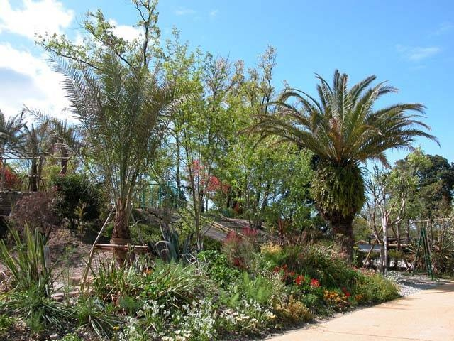 北川村「モネの庭」マルモッタン