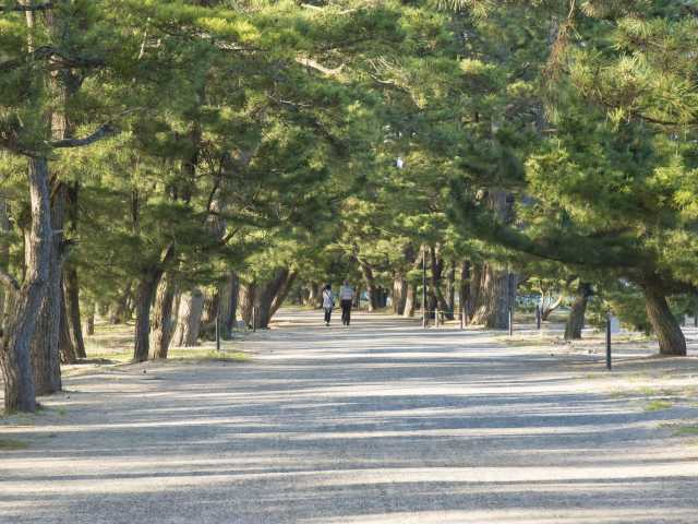 パノラマビューの日本三景を周遊「天橋立」