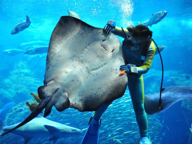 新江ノ島水族館