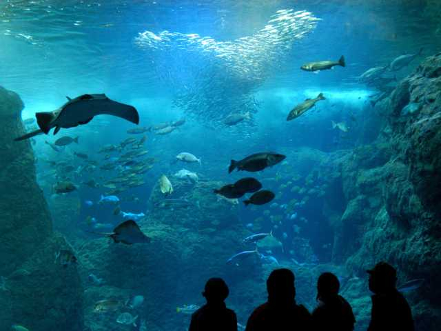 新江ノ島水族館