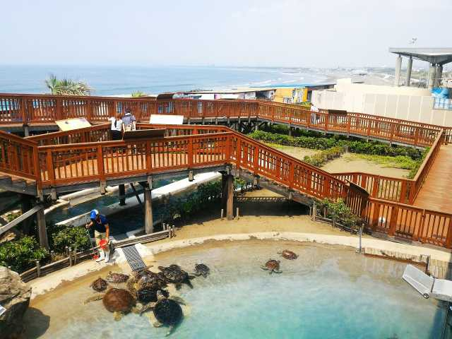 新江ノ島水族館
