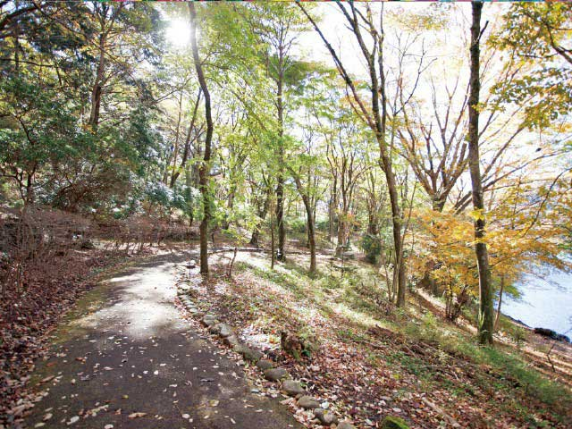 九頭龍神社 本宮