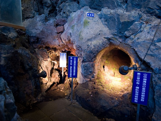 【山中湖エリアの観光スポット】山中湖 花の都公園