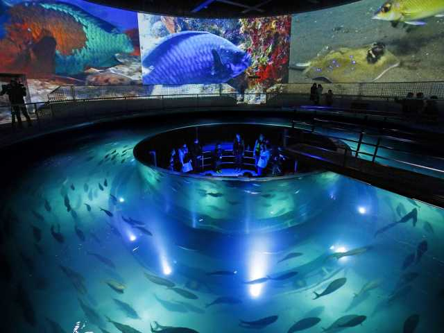日和山海岸の体験型水族館「城崎マリンワールド」