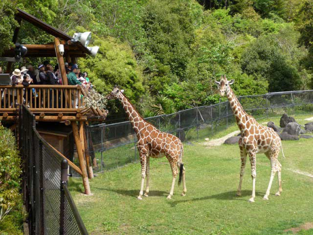 高知県立のいち動物公園