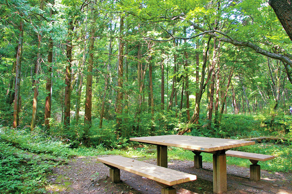 ②小さな生き物に出会える「いきものふれあいの里・虫たちの森」