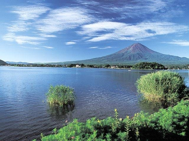 夏富士と一面のラベンダーが圧巻「大石公園」