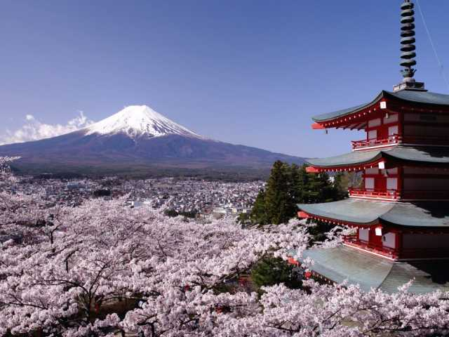 新倉山中腹、富士山を正面に構え市内を一望できる眺望豊かな公園「新倉山浅間公園」