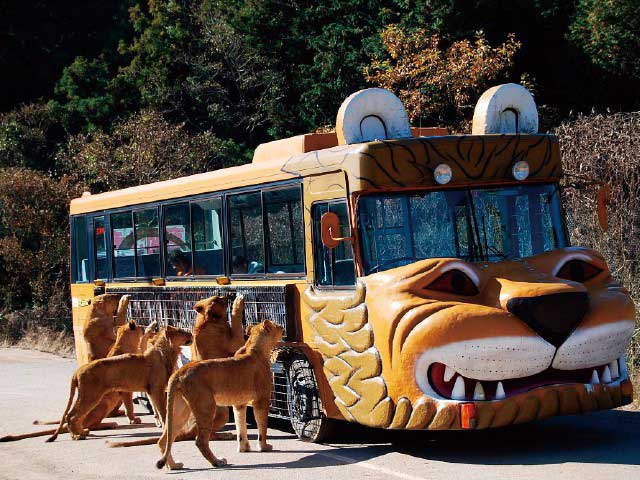 秋吉台サファリランド