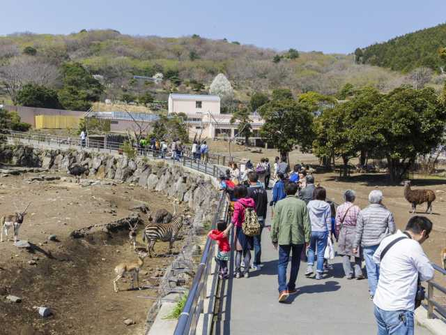 伊豆アニマルキングダム