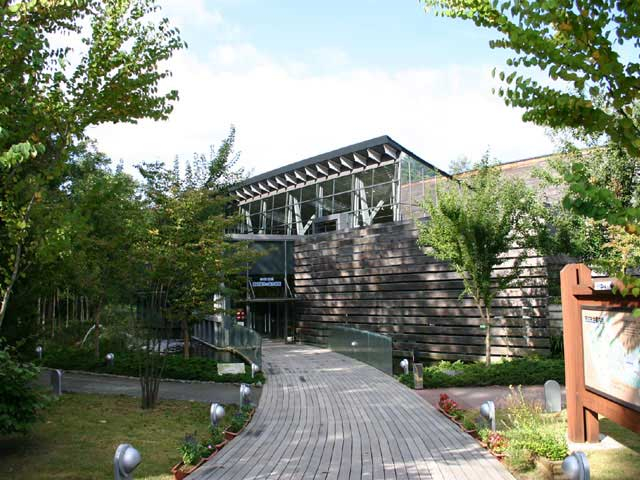 【山中湖エリアの観光スポット】森の中の水族館。山梨県立富士湧水の里水族館