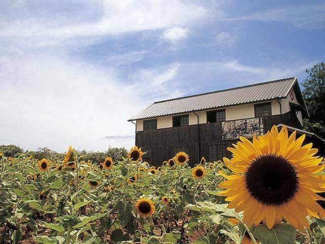 二十四の瞳映画村