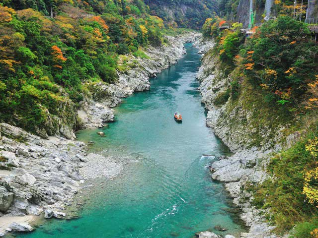 大歩危峡観光遊覧船