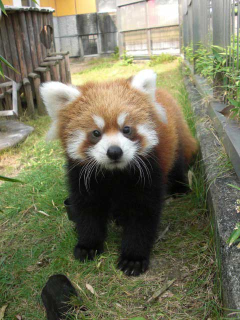 周南市徳山動物園