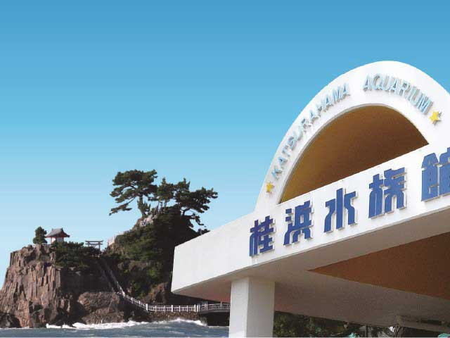 桂浜水族館