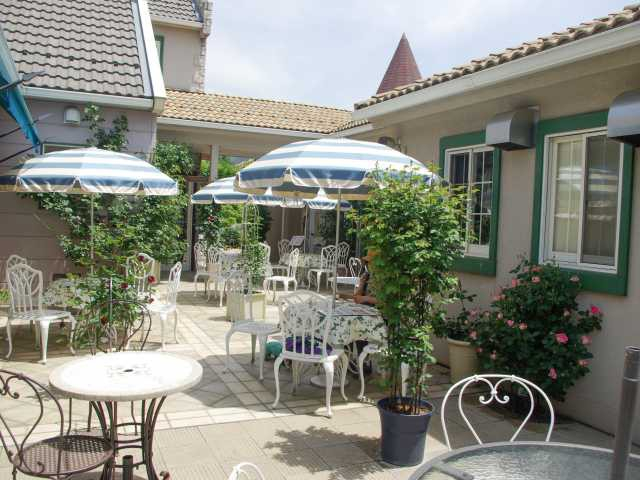 【山中湖からひと足のばして観光】オルソンさんのいちご