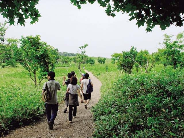 フレペの滝遊歩道
